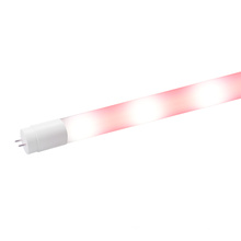 Red LED Tube for Fish with Sample Provided